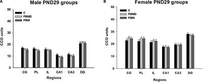 No Effects of Photobiomodulation on Prefrontal Cortex and Hippocampal Cytochrome C Oxidase Activity and Expression of c-Fos Protein of Young Male and Female Rats